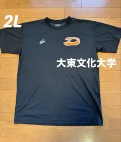 Item thumbnail for item 1f951e30-605d-4509-899c-aeb0044b89a1