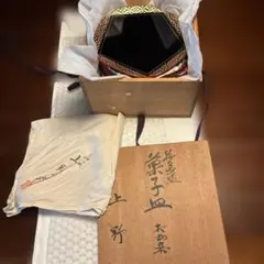 Item thumbnail for item 221c5718-940e-46ab-84a7-9a7c6a31e97a