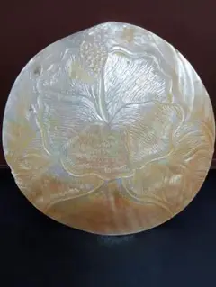 白蝶貝　マザーオブパール　希少