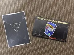 TGS2025 VALORANT カード riot ノベルティ