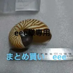 eee様 リクエスト 2点 まとめ商品