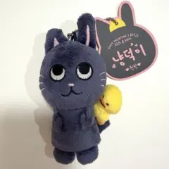 トニャンドク ぬいぐるみ 40cm トニャンドク ぬいぐるみ 40cm Amazon.co.jp: RIIZE ウォンビン