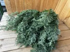 Kurian様 リクエスト 2点 まとめ商品