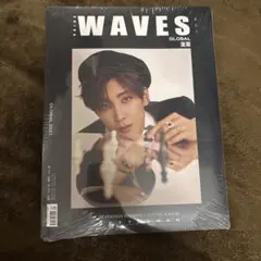 SEVENTEEN WONWOO WAVES GLOBAL 2021