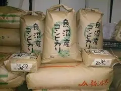 南魚沼産コシヒカリしおざわ西山地区　令和7年産玄米10kgのサムネイル