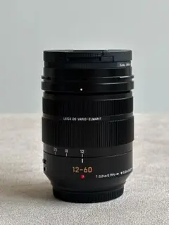 LUMIX G99 美品 単焦点25mm付 レリーズ2935回 - メルカリ