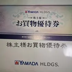 ヤマダ電機 株主優待券 2000円分(500円×4枚)