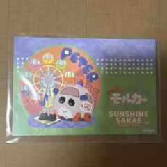 PUI PUI モルカー ポストカード サンシャインサカエ ペーター