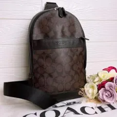 極美品☆COACHコーチ リュック ショルダーバッグ ブラック メンズブラウン.