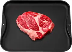 【最終処分】IWANO　解凍プレート　新潟・燕三条製　解凍短縮　フッ素樹脂加工のサムネイル