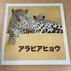 アラビアヒョウ 写真集