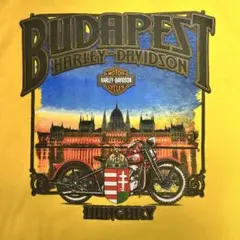 【珍品】 vintage Harley-Davidson Tシャツ XL
