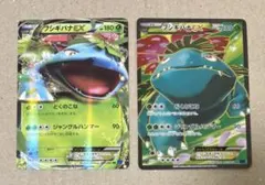 スターターセット フシギバナ 2box 未開封 - メルカリ