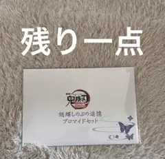 に*み様 劇場版 鬼滅の刃 無限城編 胡蝶しのぶ 追憶プロマイドセット