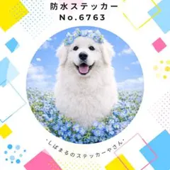 Item thumbnail for item c9d1756d-d568-448a-99ba-241f5b45ecc3