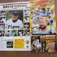 阪神タイガース2005年優勝記念グッズのサムネイル