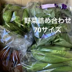 b宮城県産　訳ありきゅうり　新鮮野菜詰め合わせ　70サイズ