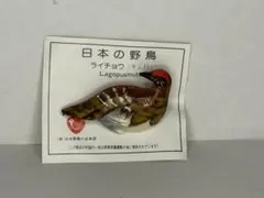 激レア・限定100個・雷鳥ピンバッジ３種コンプ・特製ピンバッジコレクションケース 激レア・限定100個・雷鳥ピンバッジ3種コンプ・特製ピンバッジ
