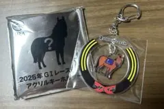 2025年G1レース優勝馬 アクリルキーホルダーレガレイラwelcomeチャンスのサムネイル