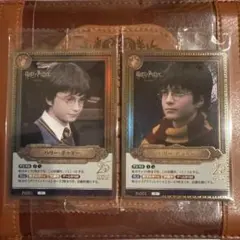 ハリー・ポッター　TCG Pt003a pt★ partner パートナー ハリー・ポッター カードゲーム Pt003a Pt☆ パラレル ハリポタTCG
