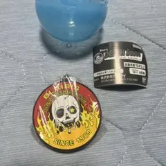 Item thumbnail for item efee568f-2905-438a-a2ee-812be3915a40