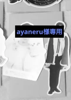 ayaneru様専用