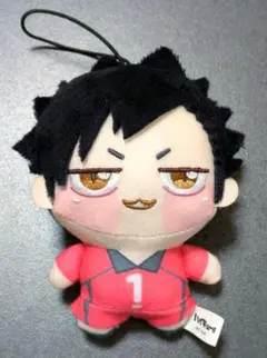 ハイキュー 黒尾鉄朗 ちょぴぬいぷち