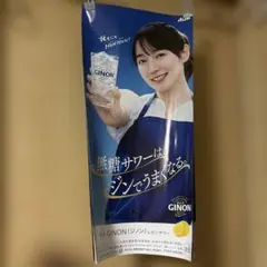 吉岡里帆 GINON ジノン ポスター 特大 B2 日比谷 NON姐ちゃん - メルカリ