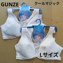 GUNZE クールマジックノンワイヤーブラ Lサイズ 2枚のサムネイル