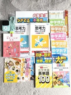 進研ゼミ　6年生　チャレンジ　漢字ことば辞典　漢字ポスター　21点セット