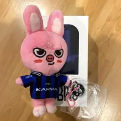 スキズ straykids KARMA skzoover. チャンビン