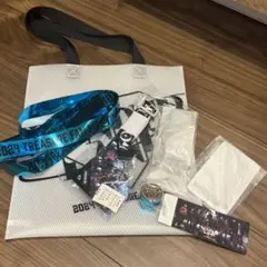 TREASURE WONDERLAND ペンミグッズ