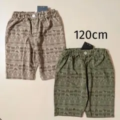 新品 恐竜柄 ハーフパンツ 120cm 男の子 2枚セット 体操服 短パン