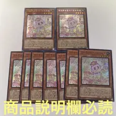 遊戯王 マルチャミー・ニャルス コレクターズ シク スーパー まとめ売り