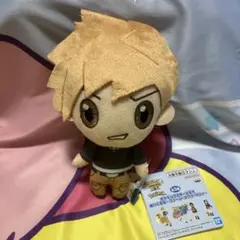 匿名発送】 ポケマス ポケモンマスターズEX ぬいぐるみ N - メルカリ