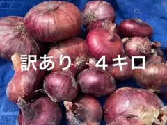 赤玉ねぎ　訳あり　４キロのサムネイル