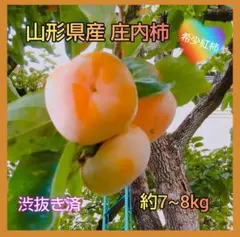 柿 約50個 7～8キロ 果物 山形 庄内柿 ブルーム【渋抜済】希少紅柿