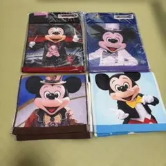 ディズニーランド　ロングフェイスタオル 4枚セット