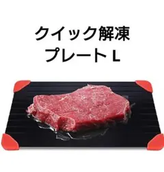新品未使用！クイック 解凍プレート 解凍 プレート L エコ 時間短縮 料理のサムネイル