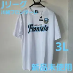 フロンターレ 応援グッズ