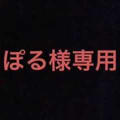 ぽる様専用出品