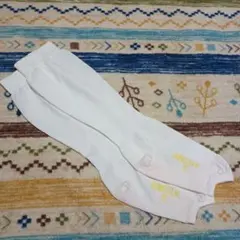 Item thumbnail for item b1f0d7ee-85fc-4d83-9f28-58e6d1b7df95