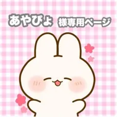 あやぴょ様専用ページ