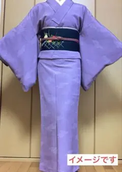 二部式着物のみ　小紋　雲取り　着物リメイク