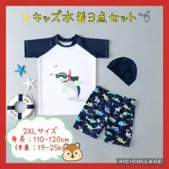 新品♡水着3点セット キッズ  子供 男の子 ラッシュガード 2XL サメ柄