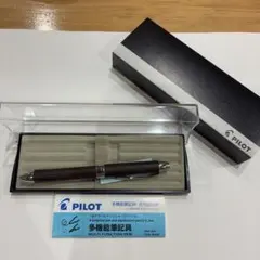 2026年最新】万年筆 パイロット z-cr-gnの人気アイテム - メルカリ
