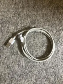 USB-A to Lightning 充電ケーブル 約1m 未確認 ジャンク扱い