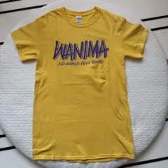 WANIMA Tシャツ　Sサイズ