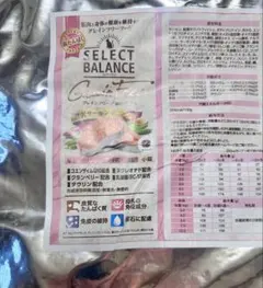セレクトバランス グレインフリー 猫 サーモン キトン 10kg 特価