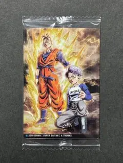 ドラゴンボール イタジャガ8 孫悟飯（未来）&トランクス（未来） 8-13 R